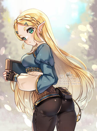 Zelda botw