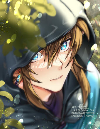 Link (botw)